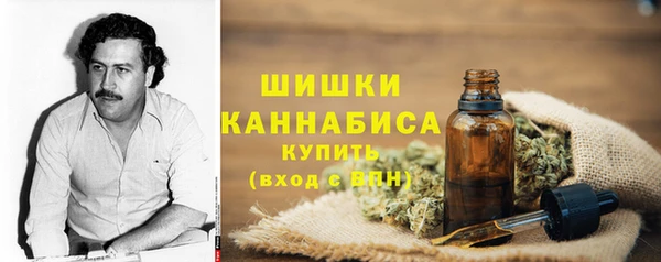 МДПВ Медногорск