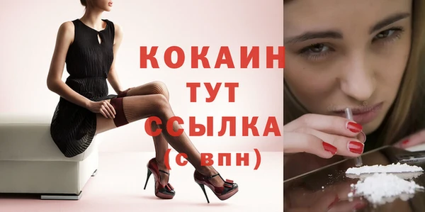 spice Медвежьегорск