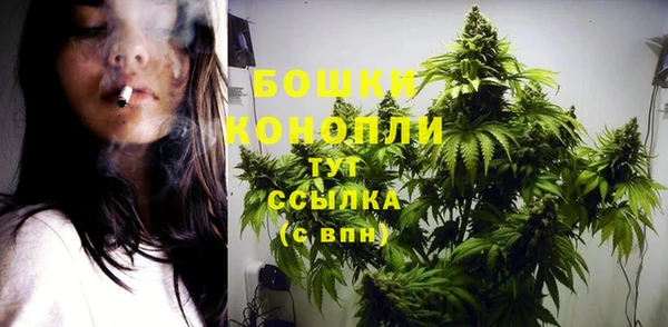 МДПВ Медногорск