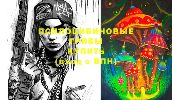 сатива Вязьма