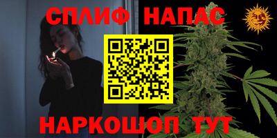 стафф Гагарин