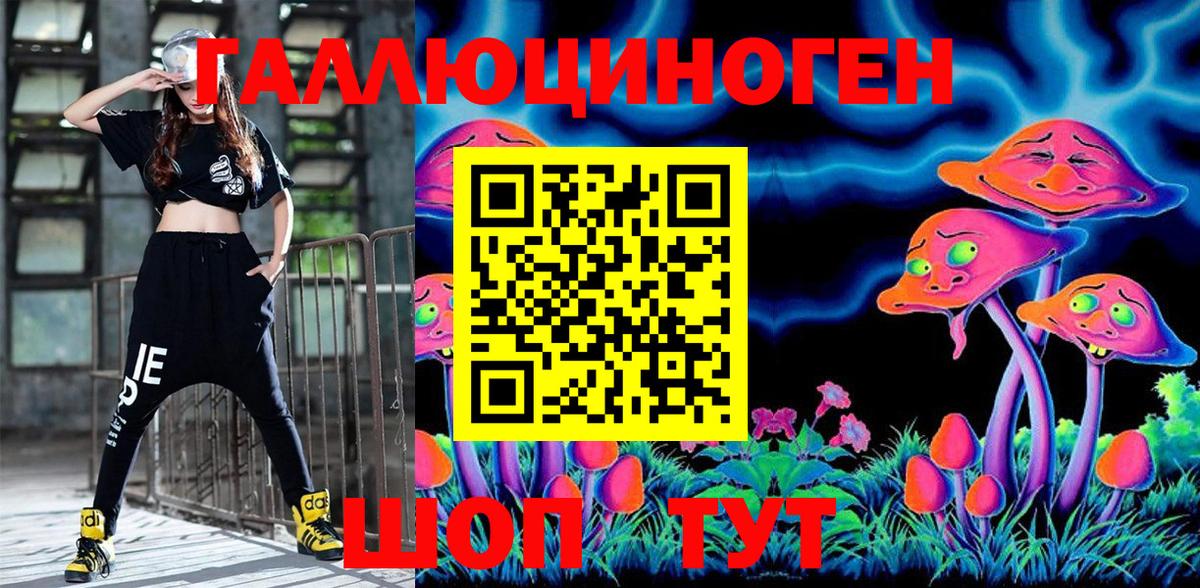 купить закладку  Железноводск  Псилоцибиновые грибы Psilocybe 