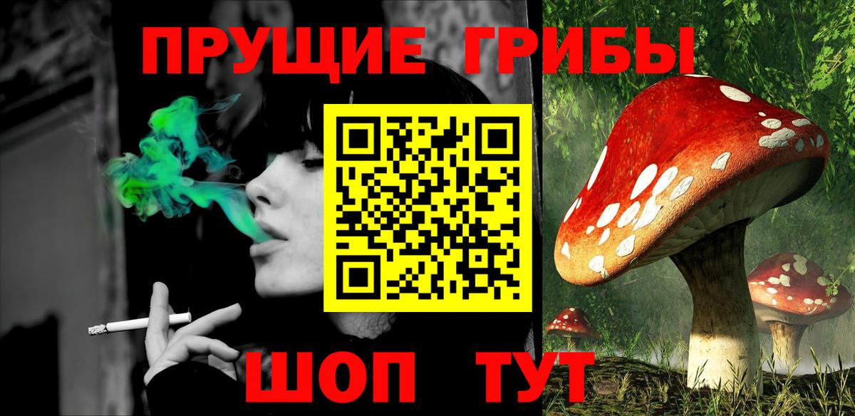 Галлюциногенные грибы прущие грибы  Вход с VPN  Железноводск 