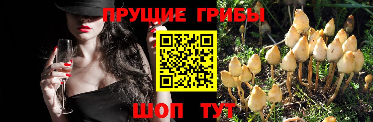 Codein Железноводск